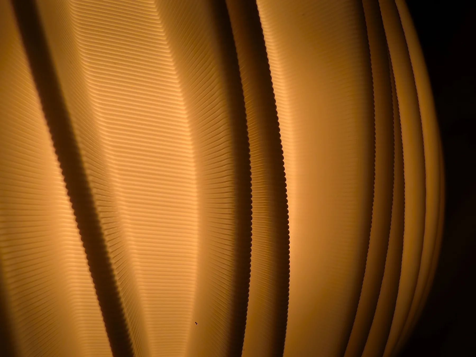 Close view of natural layer variation in a printed Rima lamp