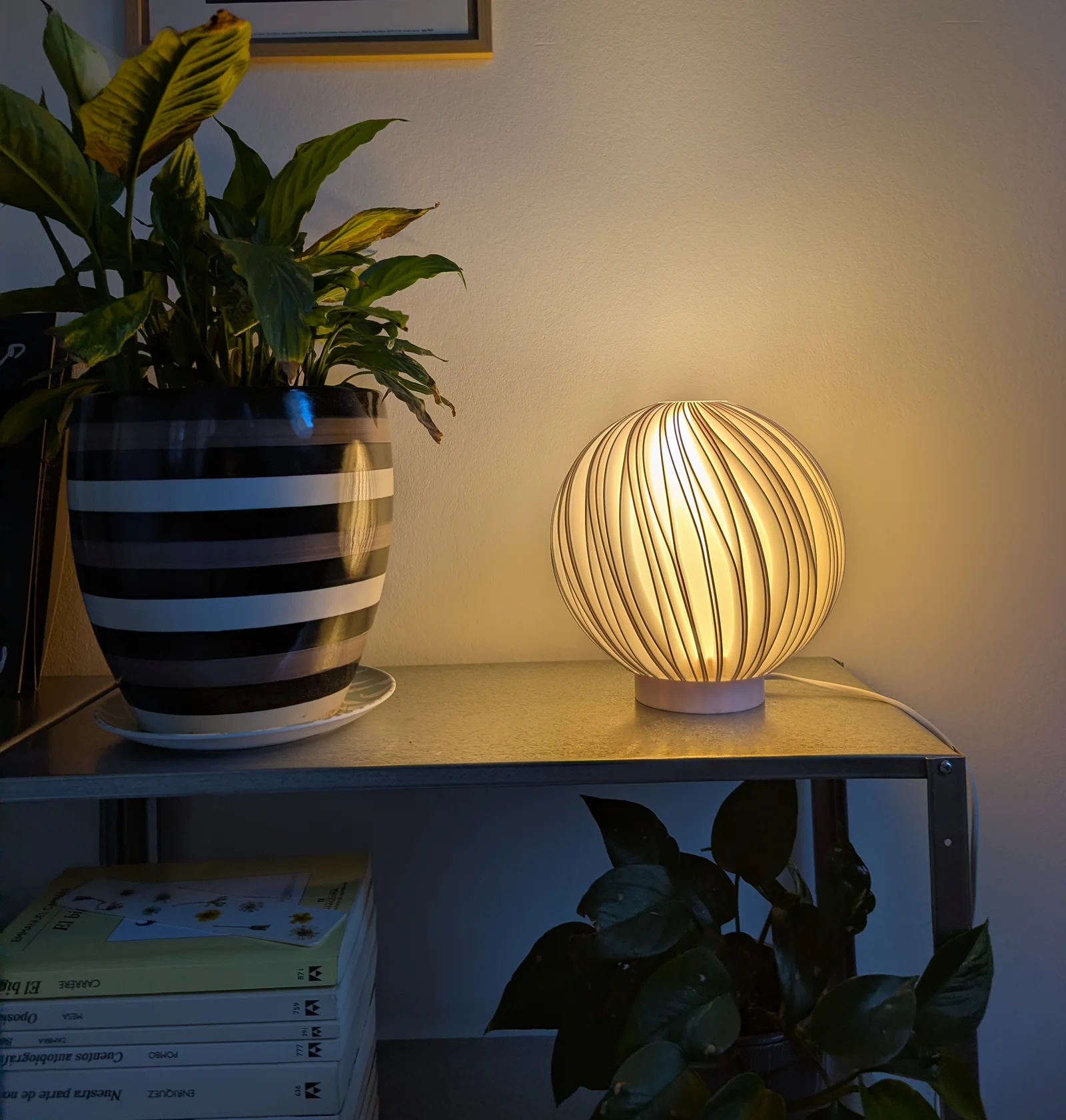 Rima lamp glowing on a shelf beside a potted plant